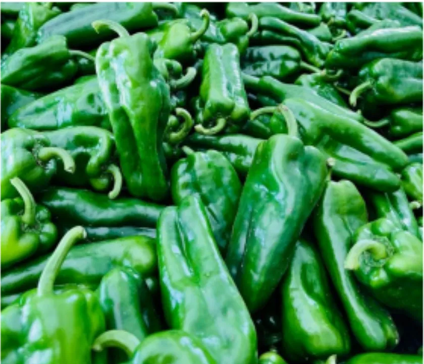 Chile Pimiento