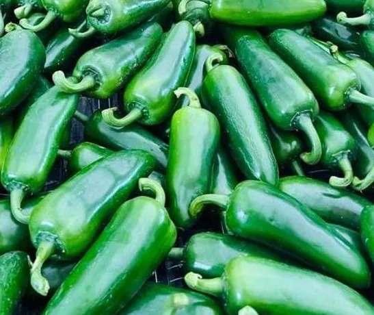 Chile Jalapeño