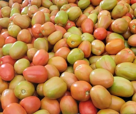 Tomate Pera